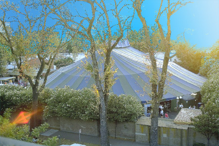 Picture of California Musical Theatre's tent